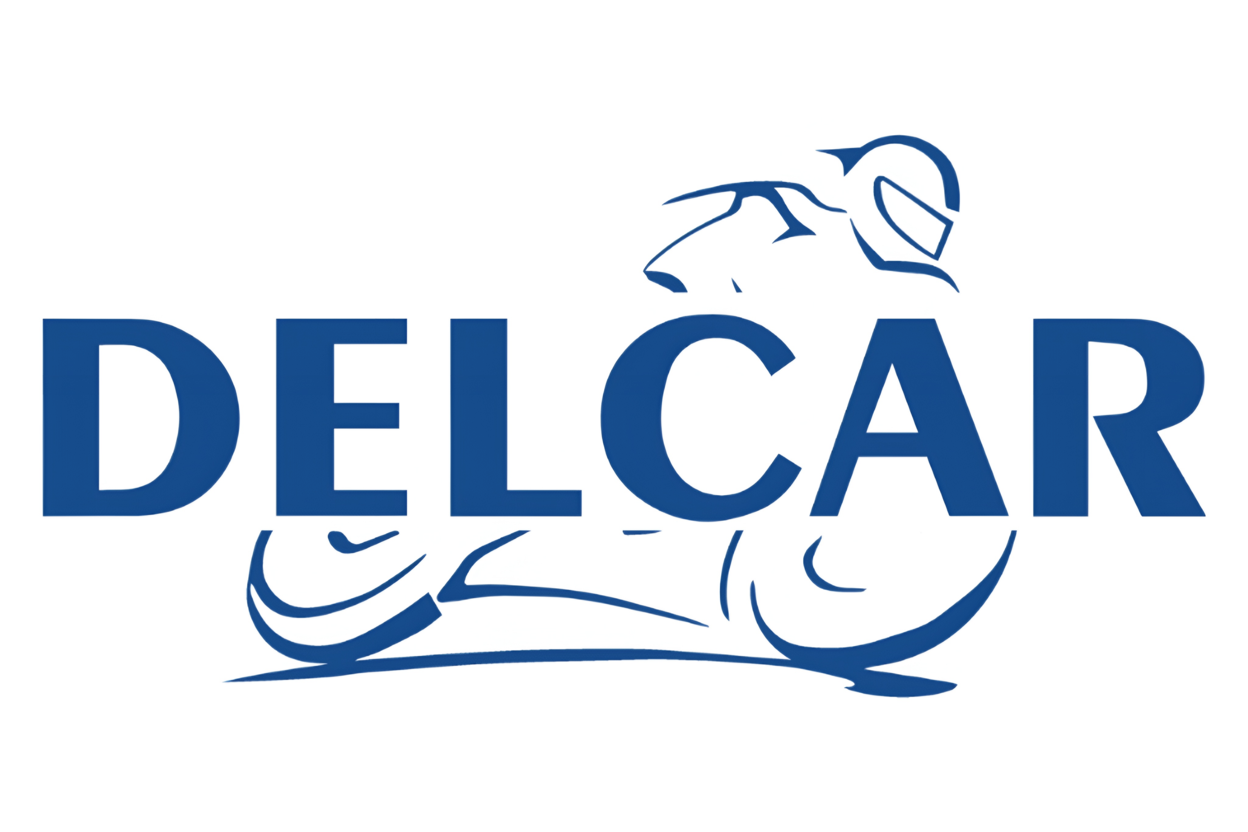 DELCAR 5% Y 10% OFF